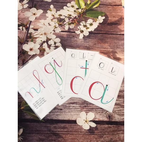 Bộ chữ cái in thường