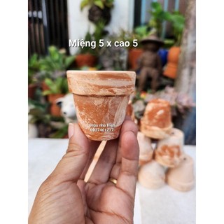 Chậu đất nung - Combo 10 chậu ly gờ miệng 5, cao 5