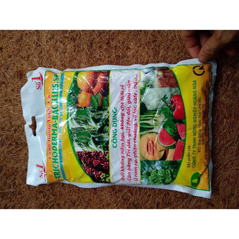 NẤM ĐỐI KHÁNG TRICHODERMA BACILLUS CÁNH BUỒM VÀNG GÓI 1KG