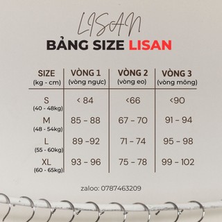 Quần Mặc Áo Dài Cách Tân - Quần Váy Lụa Phi Mềm Mặc Áo Dài Cách Tân Nữ-BB17