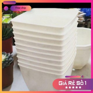 Chậu nhựa vuông V16 - Chậu nhựa vuông màu trắng trồng cây hoa hàng đẹp loại 1