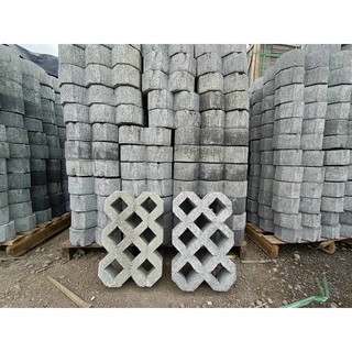 GẠCH TRỒNG CỎ 8 LỖ BÓNG VÀ NHÁM 2040