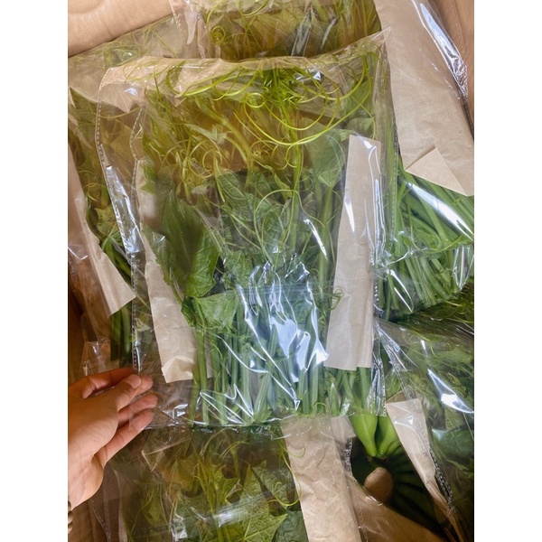 500g Đọt su tươi ĐÀ LẠT - Rau củ ĐÀ LẠT