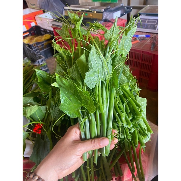 500g Đọt su tươi ĐÀ LẠT - Rau củ ĐÀ LẠT
