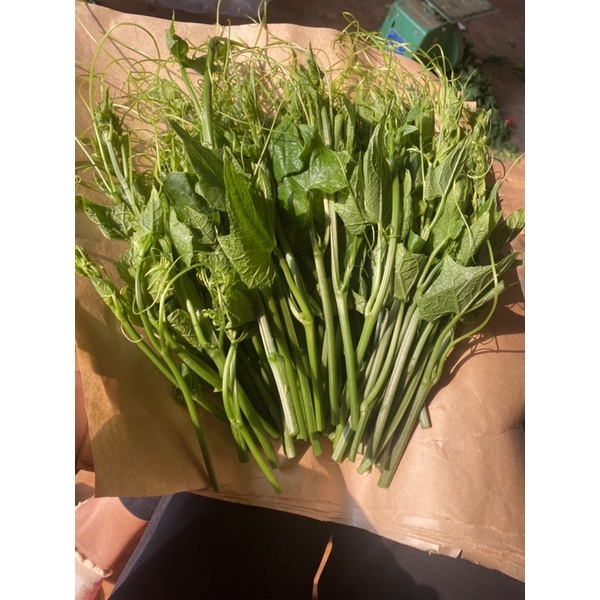 500g Đọt su tươi ĐÀ LẠT - Rau củ ĐÀ LẠT