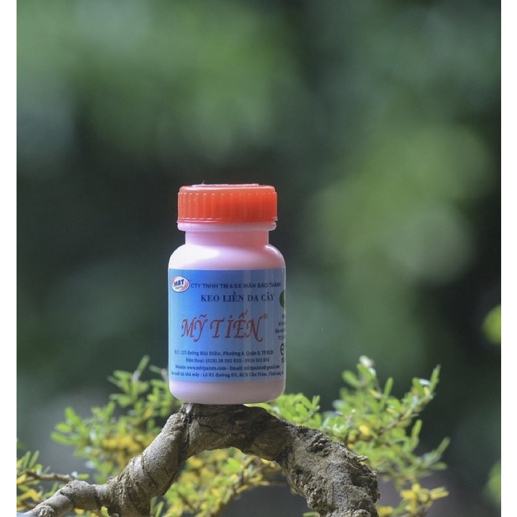 Combo 1kg Đất Akadama+1 HB 101+Keo Liền Sẹo+100g Phân Chì Nhật+10 rọ đựng phân,Trồng Cây Bonsai, Cây Cảnh Mini, Sen Đá