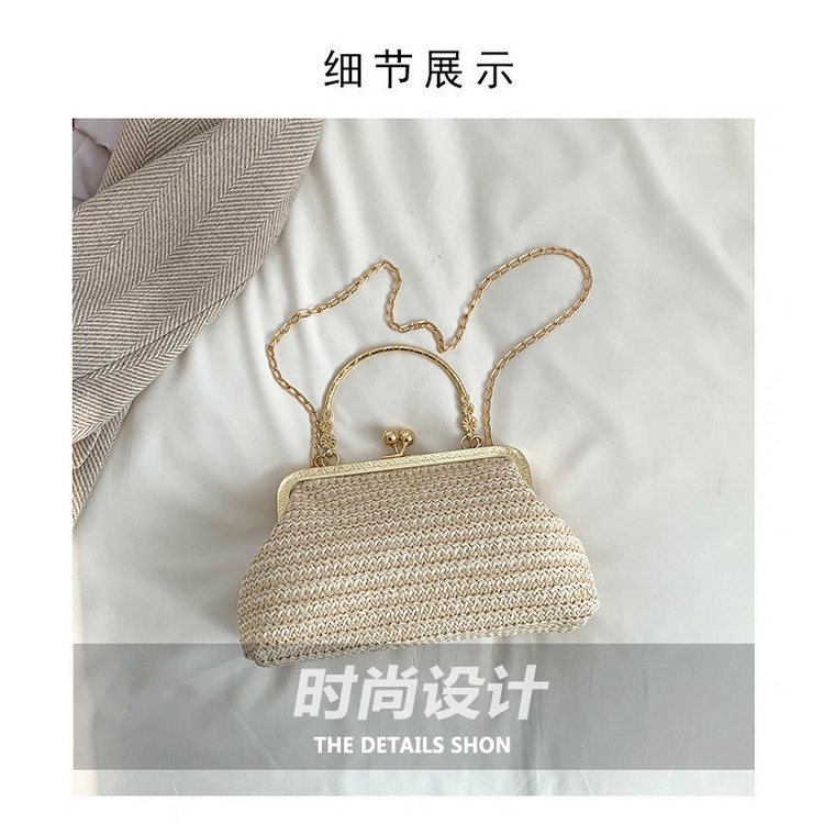 Túi Đeo Chéo Sợi Rơm Dệt Phối Dây Xích Thời Trang Mùa Xuân 2023 Cho Nữ