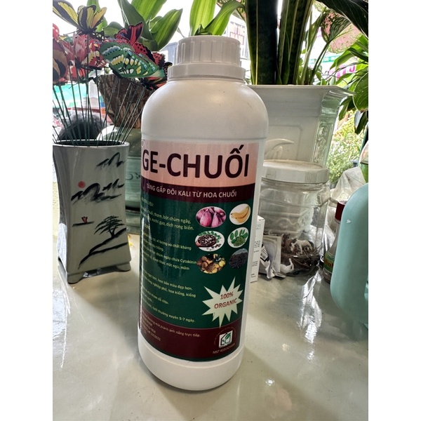 Dịch chuối GE 1 lít