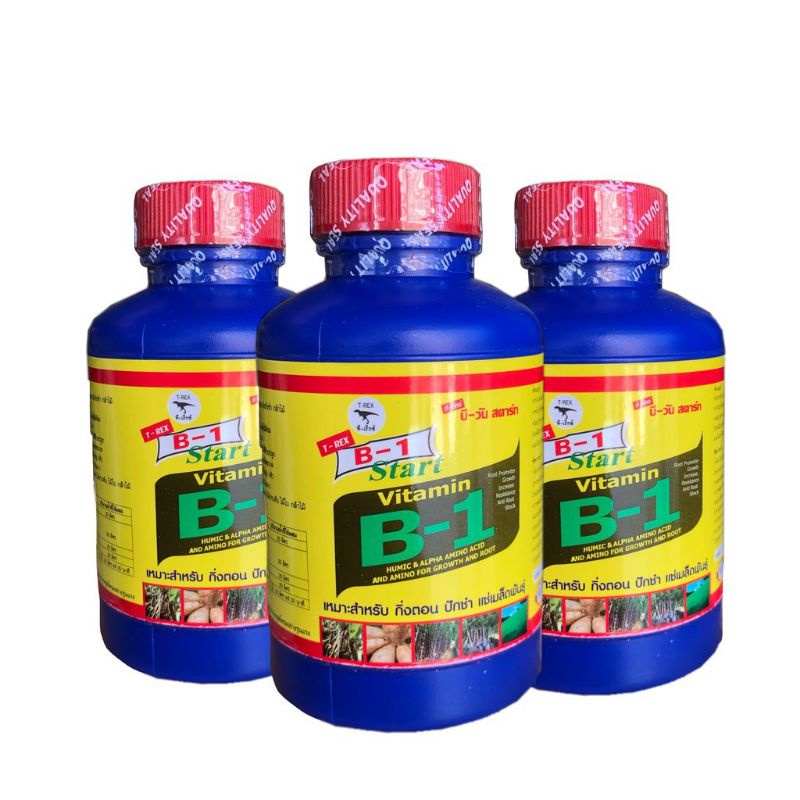 VITAMIN B1 THÁI LAN 100ML