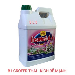 B1 kích rễ thái lan b1 growfer can 5 lít