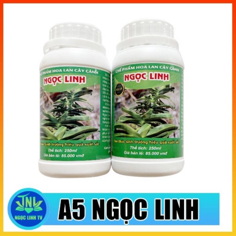 CHẾ PHẨM A5 NGỌC LINH CHAI 250ML