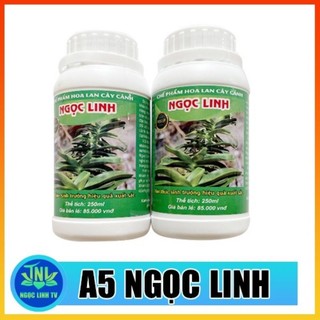 Chế phẩm a5 ngọc linh chai 250ml