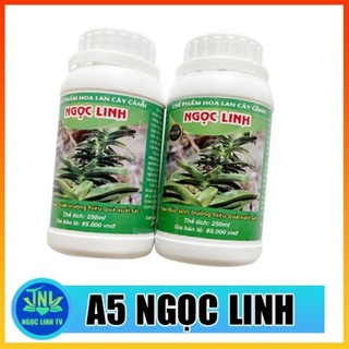 CHẾ PHẨM A5 NGỌC LINH CHAI 250ML