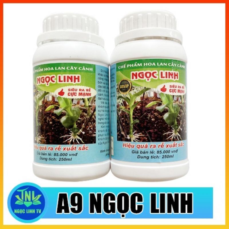 CHẾ PHẨM KICHS RỄ NGỌC LINH A9 VIP CHAI 250ML