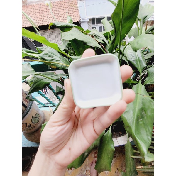 Chén - Dĩa Sứ cho Mô hình nấu ăn mini Hoặc trưng trong dollhouse,miniature