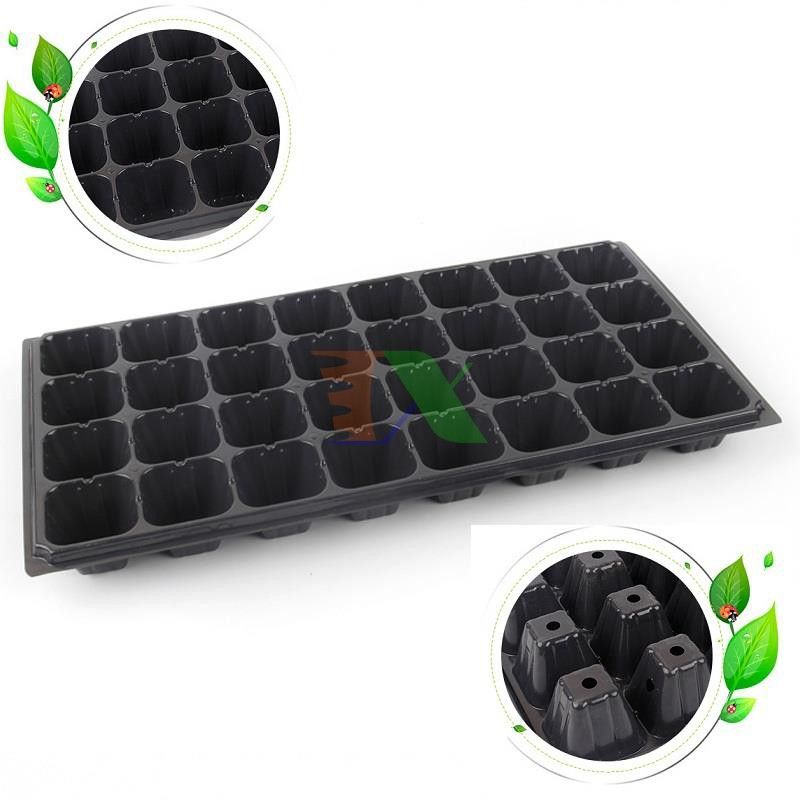SET 10 KHAY ƯƠM HẠT 32 LỖ