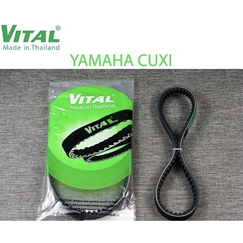 Dây curoa CUXI hiệu VITAL, Dcuroa/Bi nồi xe cuxi/con lăn 6 vien bi cuxi/VITAL chính hãng, hàng Thái 