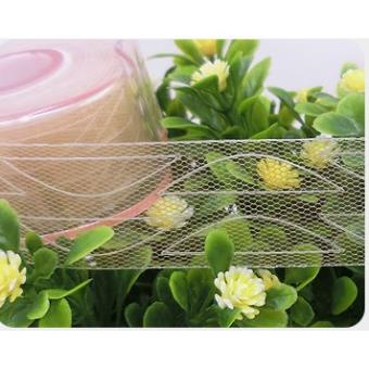 Set kích mí lưới cuộn trong suốt  200 miếng