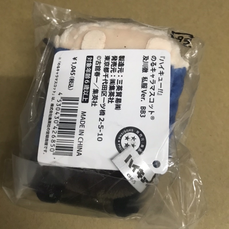 Noru Oiwaka Haikyuu HQ!