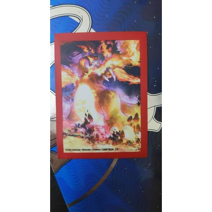 01 bọc bài sleeves chính hãng Pokemon 100%