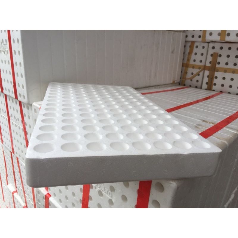 SET 5 KHAY XỐP ƯƠM HẠT 84 LỖ