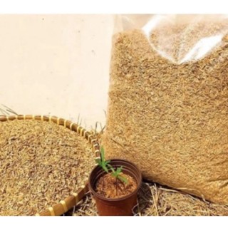 Vỏ trấu khô 1kg