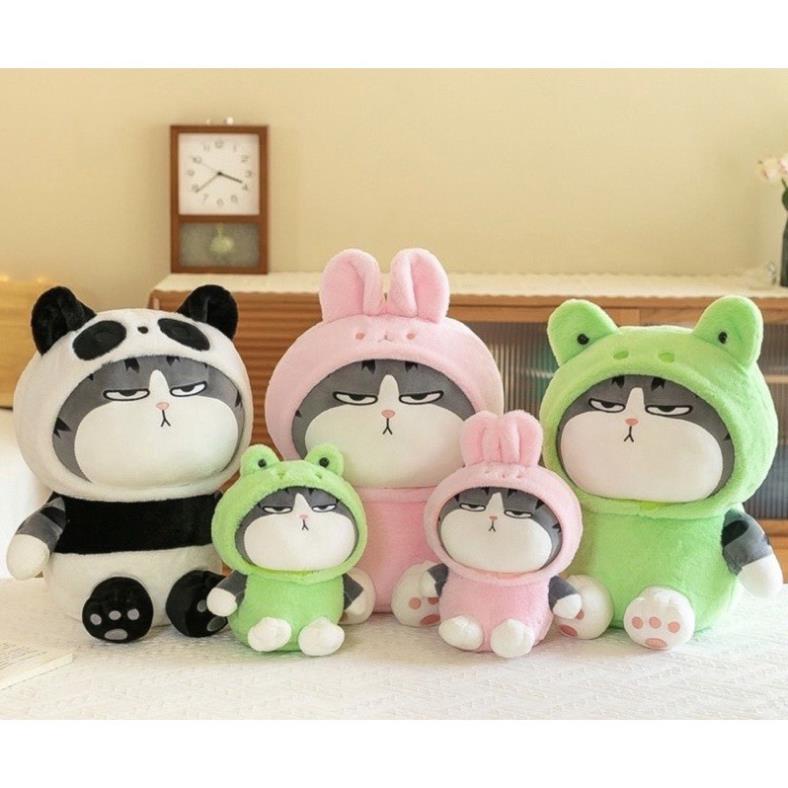 GẤU BÔNG MÈO HOÀNG THƯỢNG COSPLAY ĐÁNG YÊU