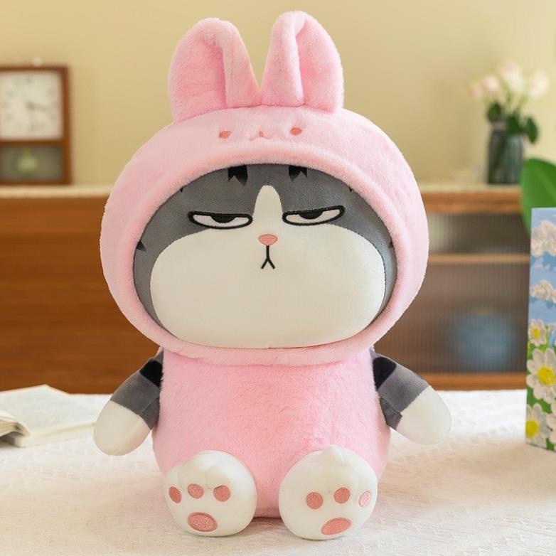 GẤU BÔNG MÈO HOÀNG THƯỢNG COSPLAY ĐÁNG YÊU