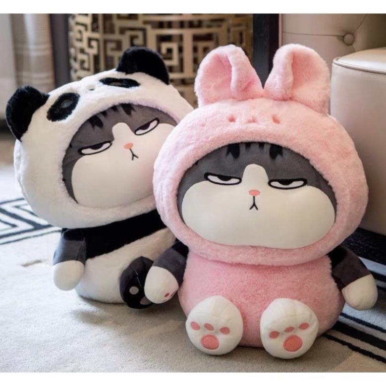 GẤU BÔNG MÈO HOÀNG THƯỢNG COSPLAY ĐÁNG YÊU