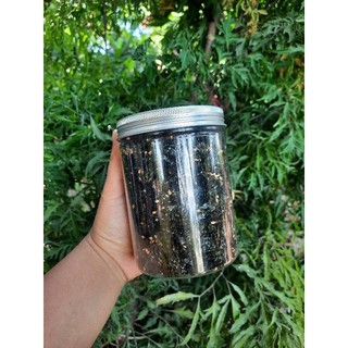 Rong Biển Rắc Cơm