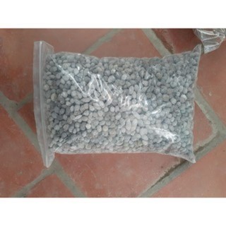 1kg phân dê bón lan đã qua xử lý