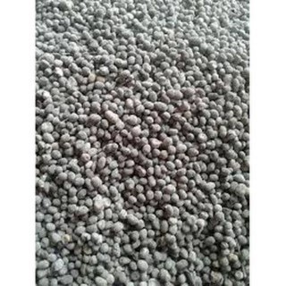 1KG PHÂN DÊ BÓN LAN ĐÃ QUA XỬ LÝ