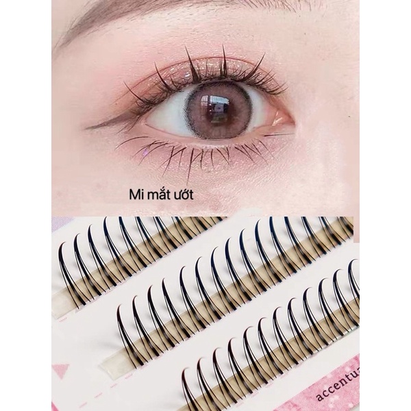 Mi chữ A dáng mi mắt ướt