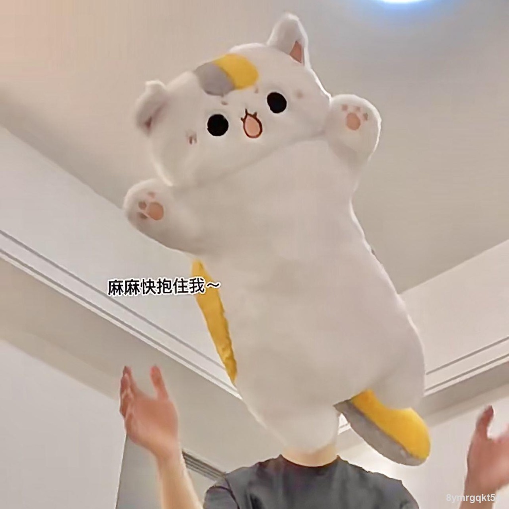 Cá tráp biển đốt mèo biến thành gối búp bê sáng tạo búp bê đồ chơi sang trọng đi kèm gối ngủ Quà tặng ngày lễ tình nhân