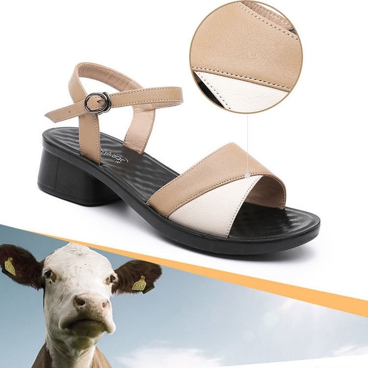 Giày Sandal Da Thật Đế Mềm Dày Dặn Thoáng Khí Phối Màu Thời Trang Mùa Hè Cho Nữ