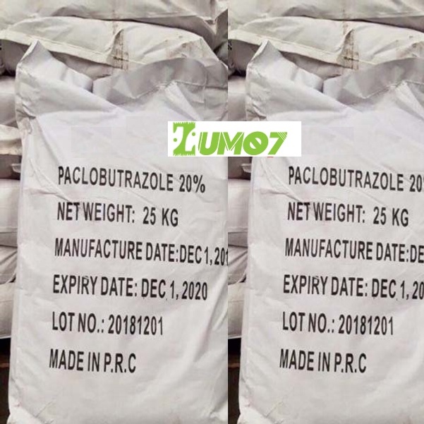 Paclobutrazol 20% WP_Ức Chế Sinh Trưởng, Kích Thích Ra Hoa