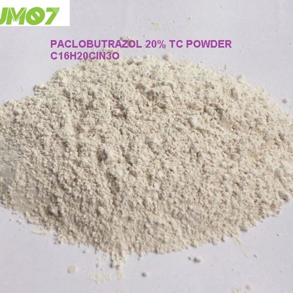 Paclobutrazol 20% WP_Ức Chế Sinh Trưởng, Kích Thích Ra Hoa