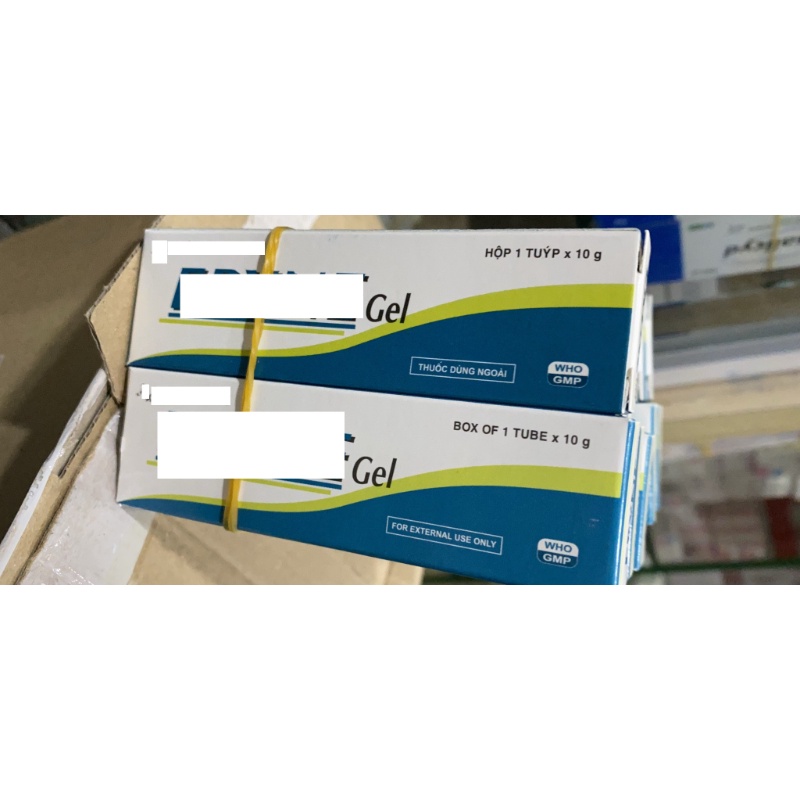 GEL ERYNE GEL (10G)