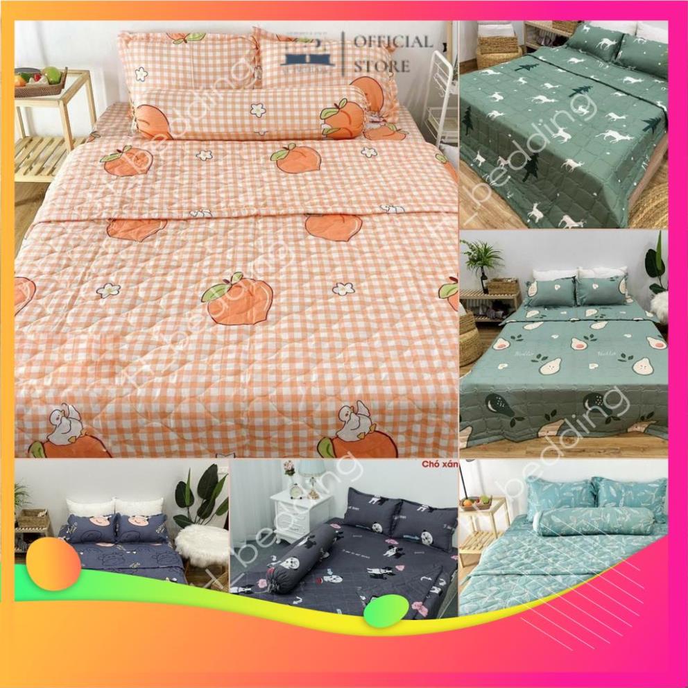ew Bộ chăn hè trần bông,ga gối cotton poly 1m6,1m8,Drap giường đẹp được chọn mẫu trong bài 3