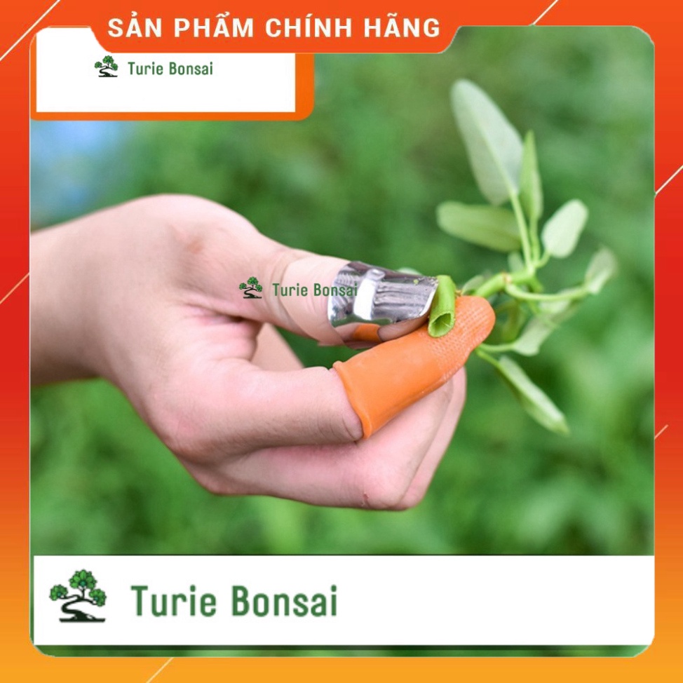 Bộ móng tay ngắt rau hái rau thu hoạch mùa màng bảo vệ ngón tay