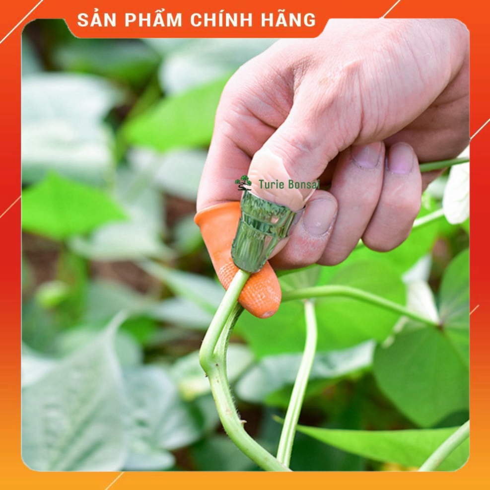 Bộ móng tay ngắt rau hái rau thu hoạch mùa màng bảo vệ ngón tay