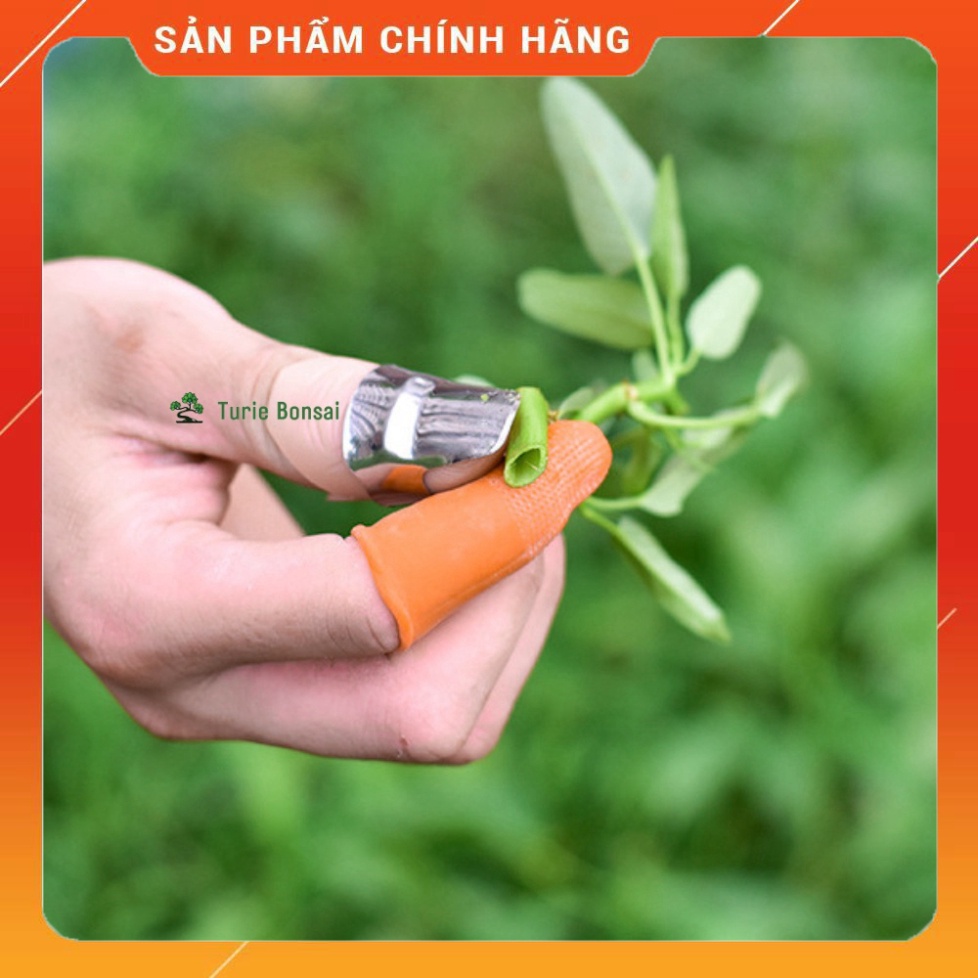Bộ móng tay ngắt rau hái rau thu hoạch mùa màng bảo vệ ngón tay