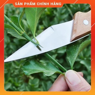 Dao ghép cành, chiết cành, dao cán gỗ siêu sắc