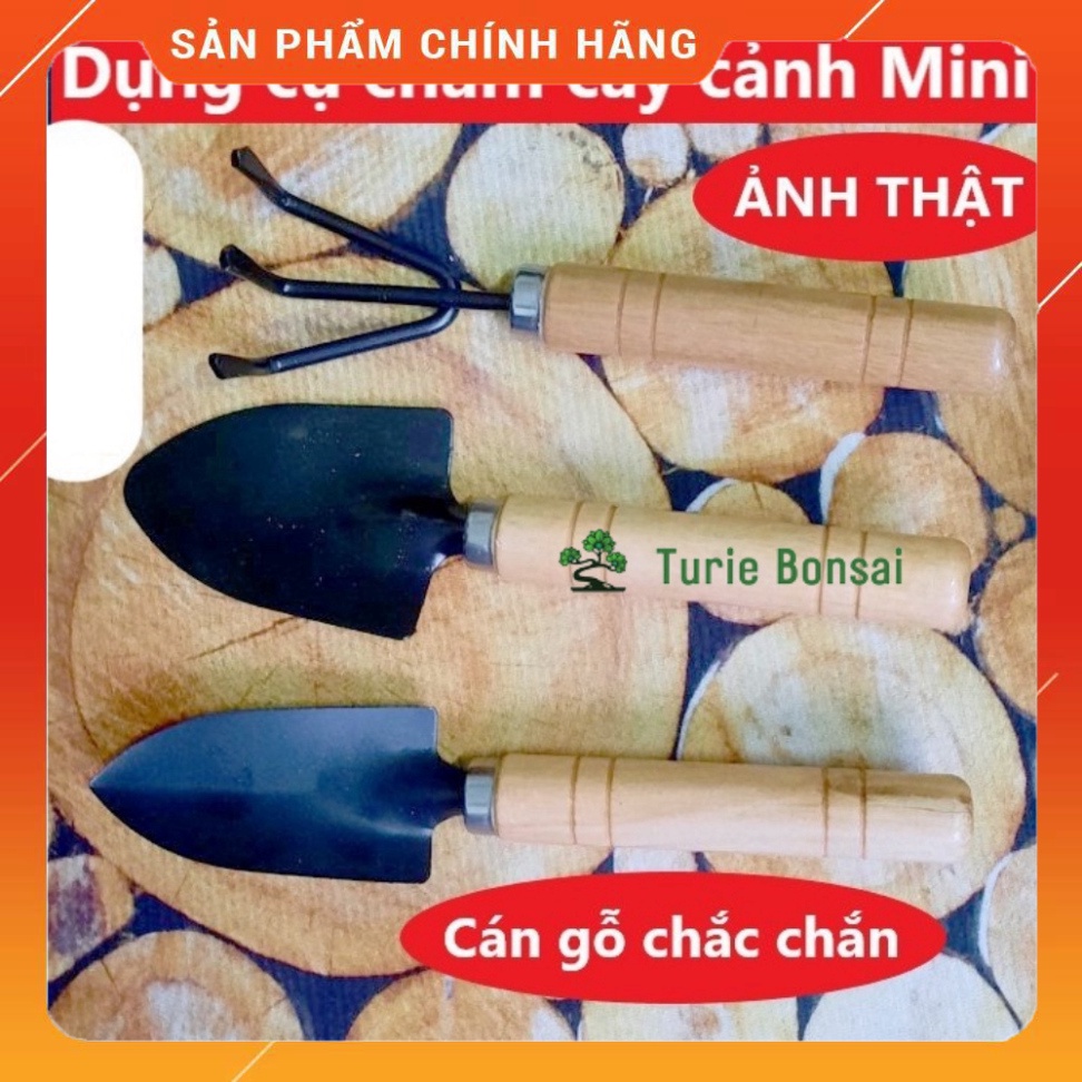 Bộ 3 món Dụng cụ làm vườn cán gỗ Xẻng + Bay + Cào đất trồng rau trồng hoa chăm cây cảnh