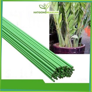 10 que xanh uốn lan, cắm lan bọc nhựa màu xanh dài 70-80cm