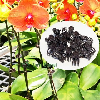 Set 100 kẹp bướm nhỏ cố định hoa lan
