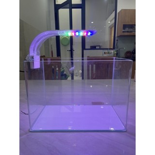 ĐÈN KẸP THÀNH BỂ XUAN MEI LONG XML