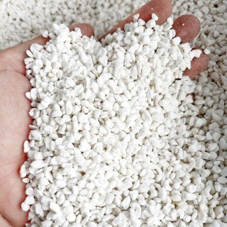 Đá perlite, đá trân châu dùng làm giá thể trồng cây