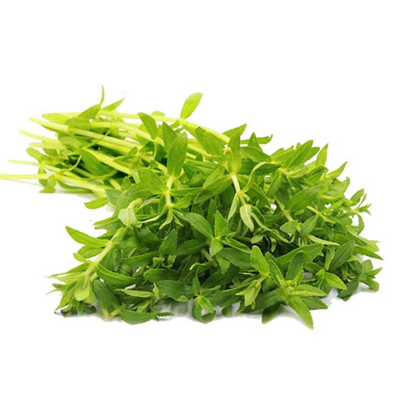 Rau ôm hữu cơ 100g