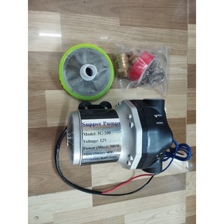 Máy bơm áp lực tưới tiêu hút sâu 12v 300w 45l/phút